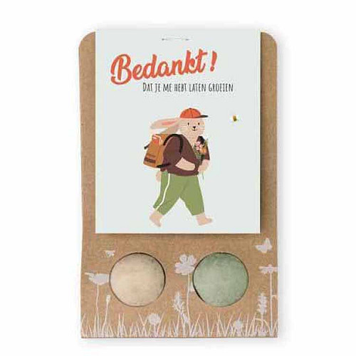 Blossombs Bloembommetjes - 2 stuks - Bedankt! - 100% Biologisch