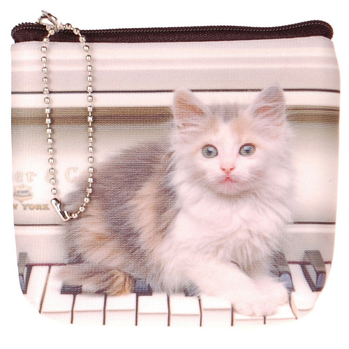 Kleine portemonnee poes