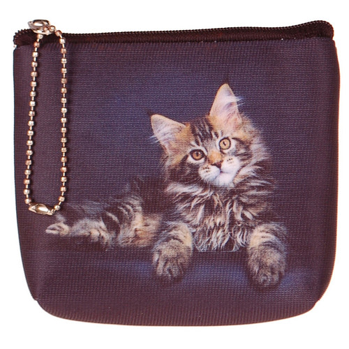 Kleine portemonnee poes