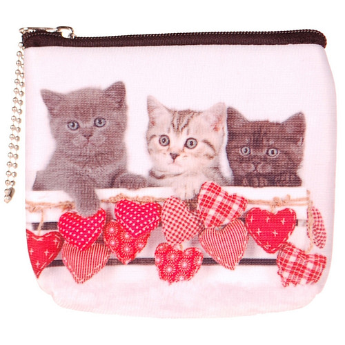 Kleine portemonnee poes