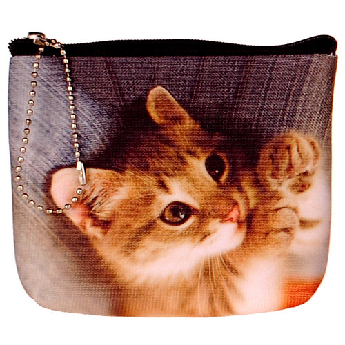 Kleine portemonnee poes