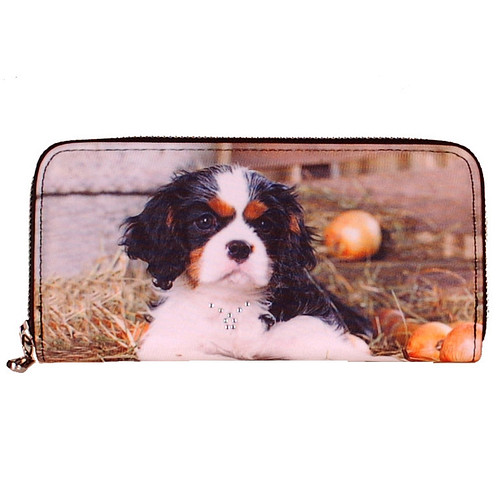 Portemonnee groot Cavelier King Charles spaniel