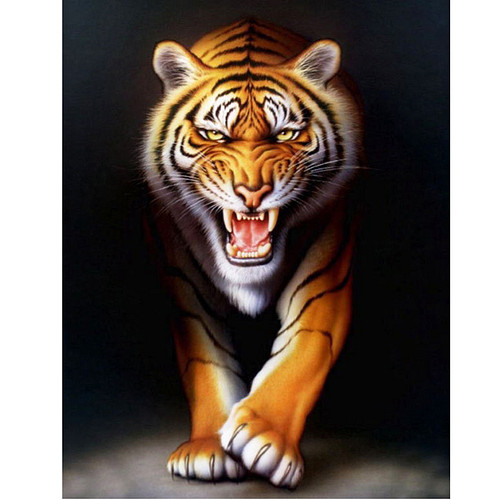 Schilderen op Nummer Set - Tijger Schaduw - incl. Verf & Penselen - 40x50cm