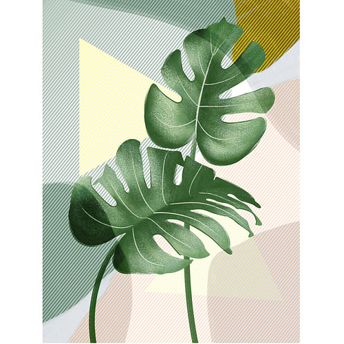 Schilderen op Nummer Set - Bladeren Monstera - incl. Verf & Penselen - 30x40cm
