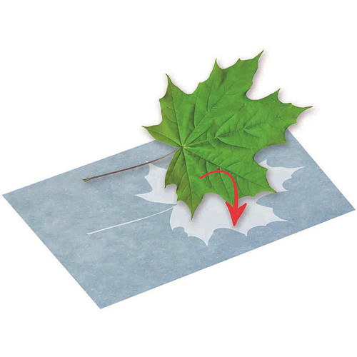 Zonnepapier PhänoMINT - A5 - 10 stuks - Creatief