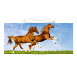 Spaarpot - Bruine Paarden Fris in Weide