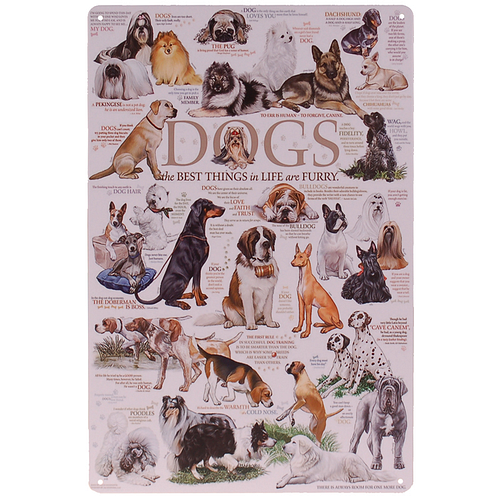 Metalen Plaatje - Dogs - Diverse Rassen Afbeeldingen Honden - 20x30cm