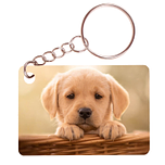 Sleutelhanger 6x4cm - Golden Retreiver Pup in Mand