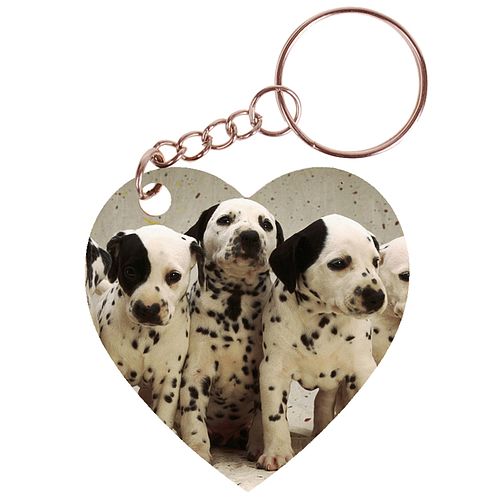 Sleutelhanger hartje 5x5cm - Dalmatier Puppies op Rij