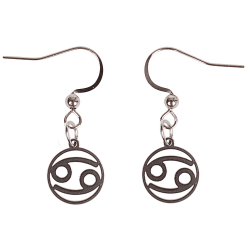 Oorbellen Zilverkleurig - hanger sterrenbeeld Kreeft