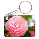 Sleutelhanger 6x4cm - Roze Japanse Roos - Camellia Japonica