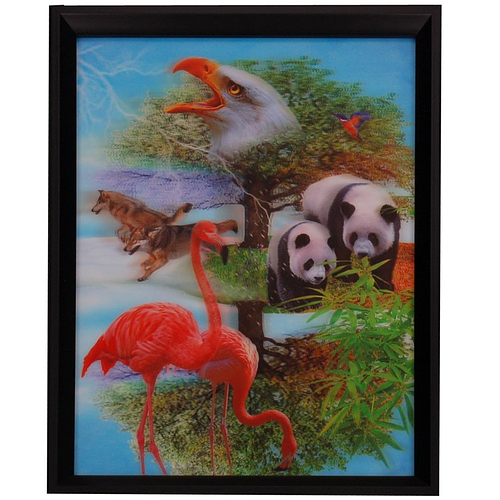 3d schilderij Panda's, Flamingo's, Wolven, Adelaar en Kolibrie