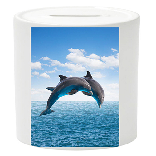 Spaarpot - 2 Dolfijnen in Sprong