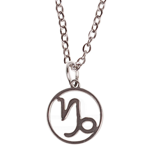 Ketting Zilverkleurig 55cm - Hangertje Sterrenbeeld RVS -  Steenbok