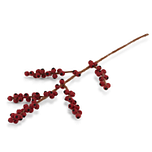 Vilt - Tak met Besjes - Ilex Hulst - Rood - 50cm - Fairtrade Homedeco