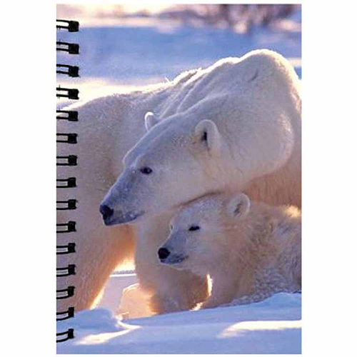 Notitieboekje 3d ijsbeer blanco