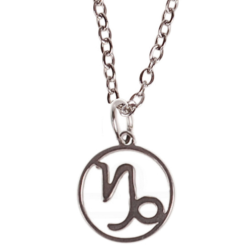 Kinderketting Zilverkleurig 45cm - Hangertje Sterrenbeeld RVS -  Steenbok