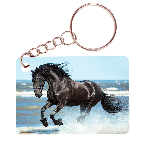 Sleutelhanger 6x4cm - Fries Paard Zwart Galop op Strand