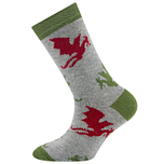 Kindersok Ewers - Lichtgrijs met Draken Rood/Mosgroen