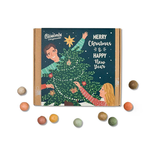 Blossombs Kerst Giftbox - Merry Christmas & happy New Year! - Doosje met 9 Bloembommetjes - 100% Natuurlijk