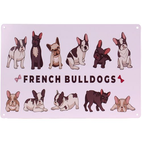 Metalen plaatje Franse Bulldogs - French Bulldogs - 33x21 cm