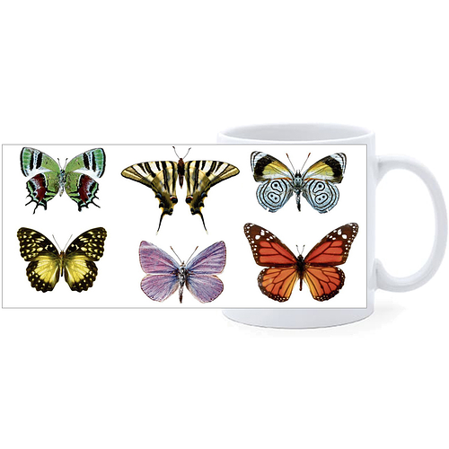 Beker - Vlinders - Diverse kleuren