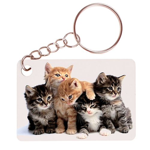 Sleutelhanger 6x4cm - Groepje Kittens Rode Katertjes en Getijgerd