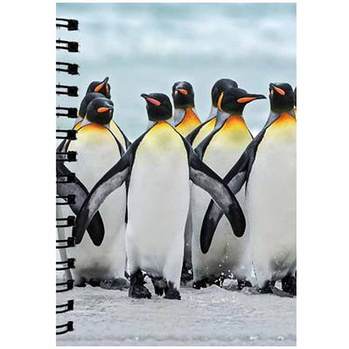 Notitieboekje 3d Pinguin blanco