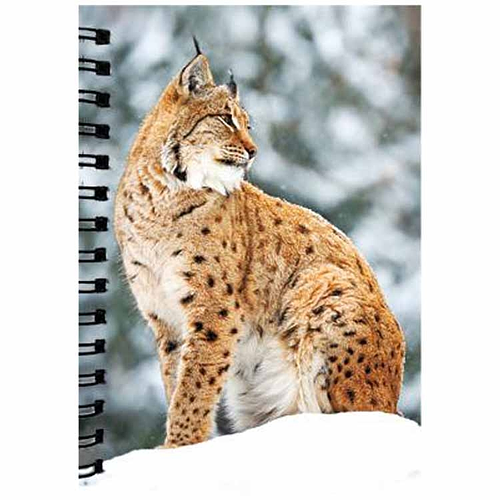 Notitieboekje 3d Lynx blanco