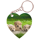 Sleutelhanger hartje 5x5cm - 5 Golden Retreiver Pups in Gras