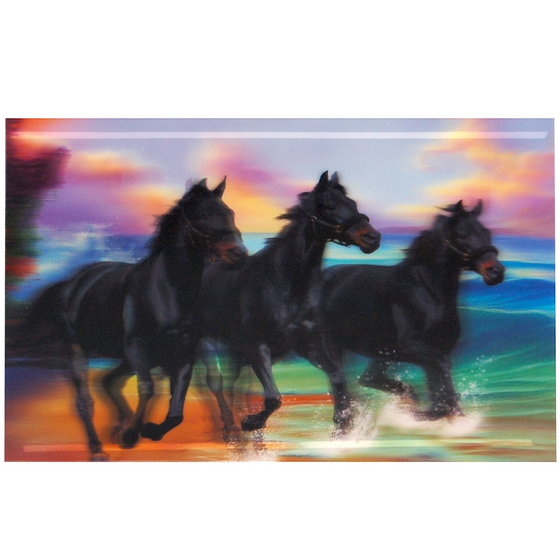 3-d poster galopperende zwarte paarden Bestel 3-d galopperende zwarte paarden ZWAF0014 online.