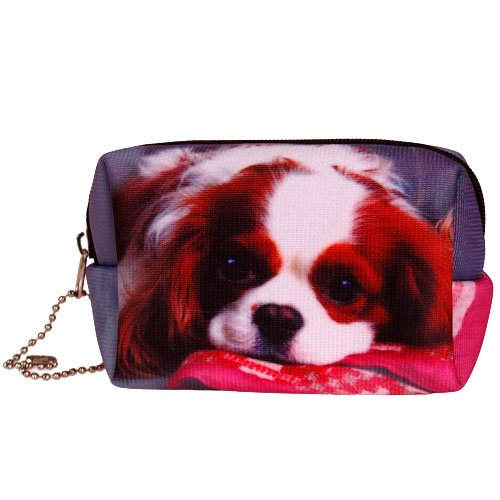 Kleine etui/klein toilettasje Cavalier King Charles Spaniel