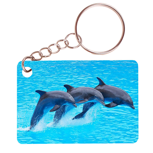 Sleutelhanger 6x4cm - 3 Dolfijnen in sprong Gespiegeld